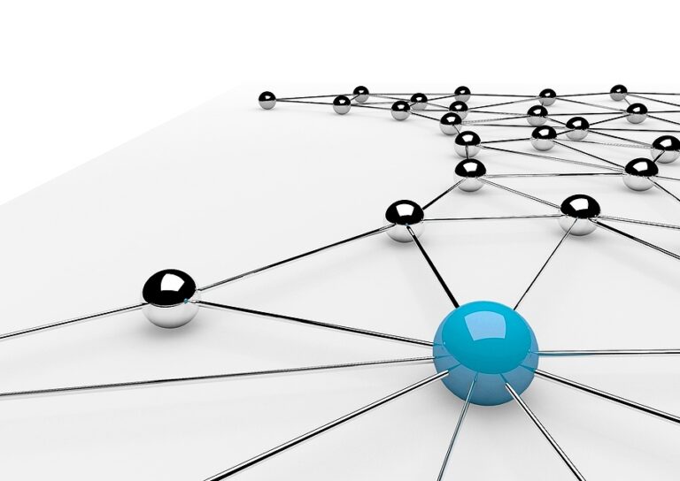 Why Firms with Great SOPs Still Don’t Grow